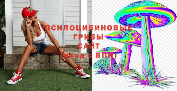 дурь Саяногорск