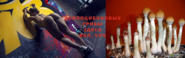 PSILOCYBIN Сатка