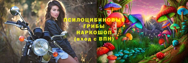 PSILOCYBIN Сатка