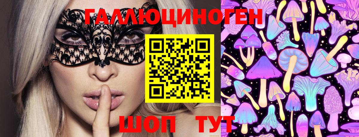 Галлюциногенные грибы Psilocybe Апатиты