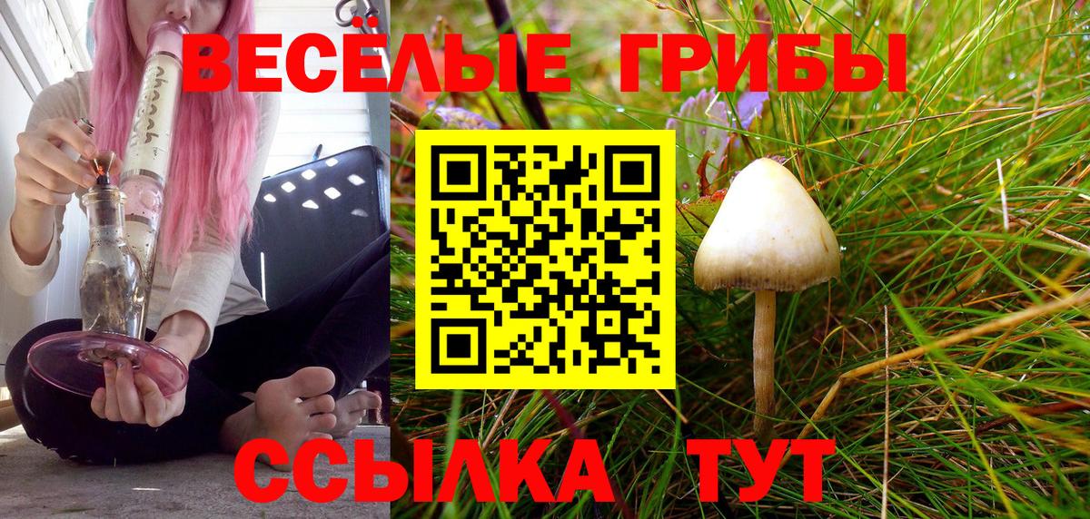 Апатиты  дарнет шоп  Галлюциногенные грибы Psilocybe  Вход с VPN  Псилоцибиновые грибы GOLDEN TEACHER 